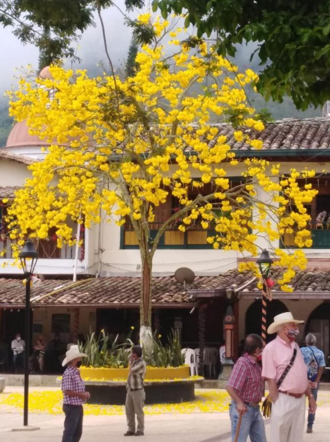 De Pajaros Y Flores Alojamiento Rural Támesis Exterior foto